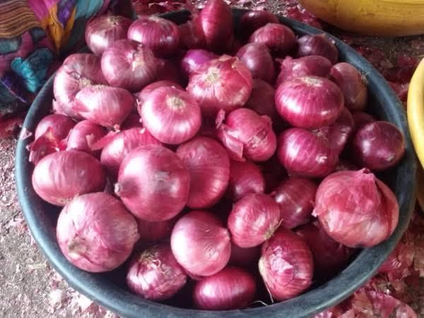 Fresh Red Onions - Premium Quality - Image 2